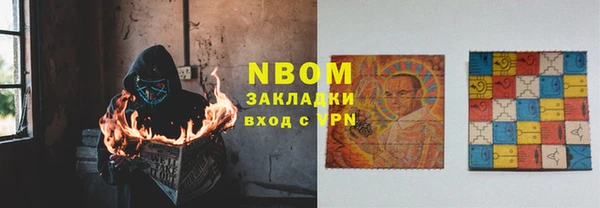 твердый Арсеньев