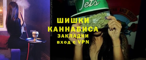 твердый Арсеньев