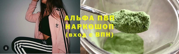эйфоретик Аркадак