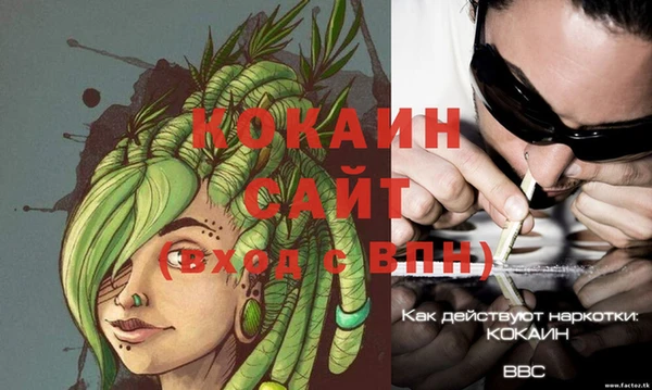 эйфоретик Аркадак