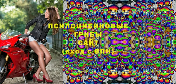 эйфоретик Аркадак