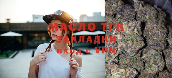 твердый Арсеньев
