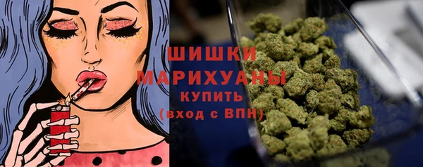 твердый Арсеньев