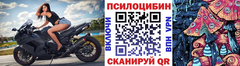 Псилоцибиновые грибы GOLDEN TEACHER  закладки  Минусинск 